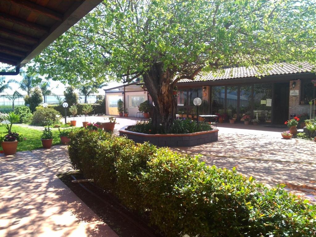 Agriturismo Il Pozzo Antico Mascali Ngoại thất bức ảnh